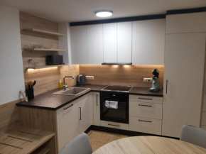 Modern Apartment, Full Kitchen, for 6 Gmunden